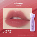 R373