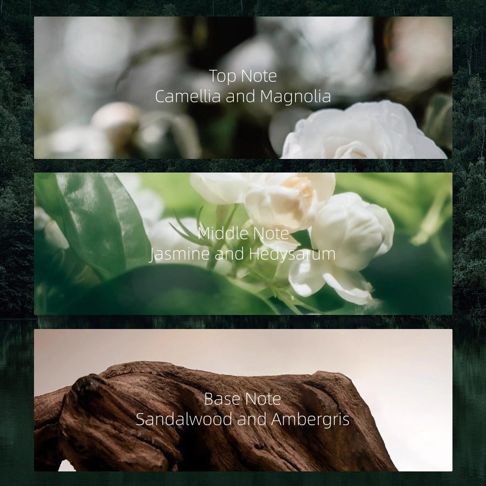 REC Lasting Oil Control Setting Spray 80ml