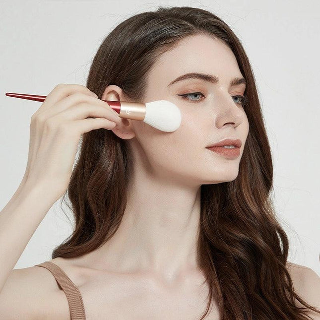 Shang Yang - Beauty Face 10 Brushes Set