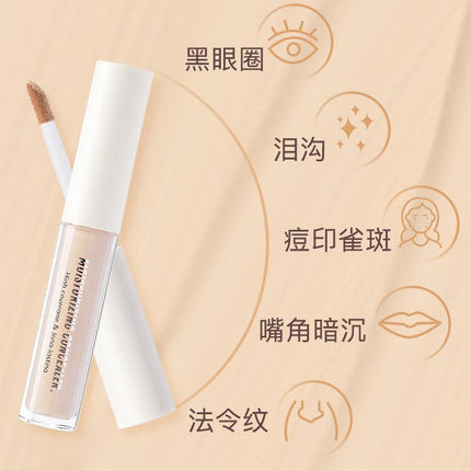 Judydoll Liquid Concealer JD020 - Chic Decent